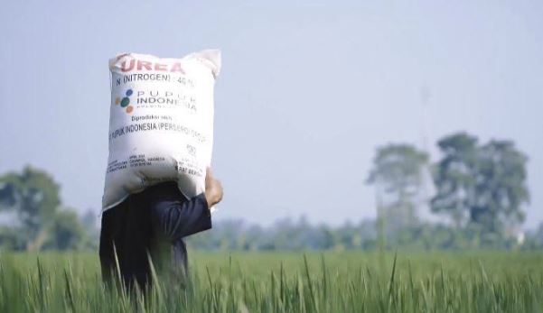 Pupuk Bersubsidi 2026 Bisa Ditebus Mulai 1 Januari, Pemerintah Siapkan Anggaran Rp46,87 Triliun